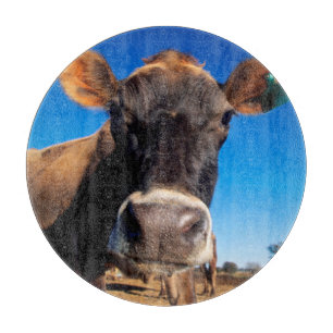 Tabla De Cortar Una vaca Jersey siendo curiosa