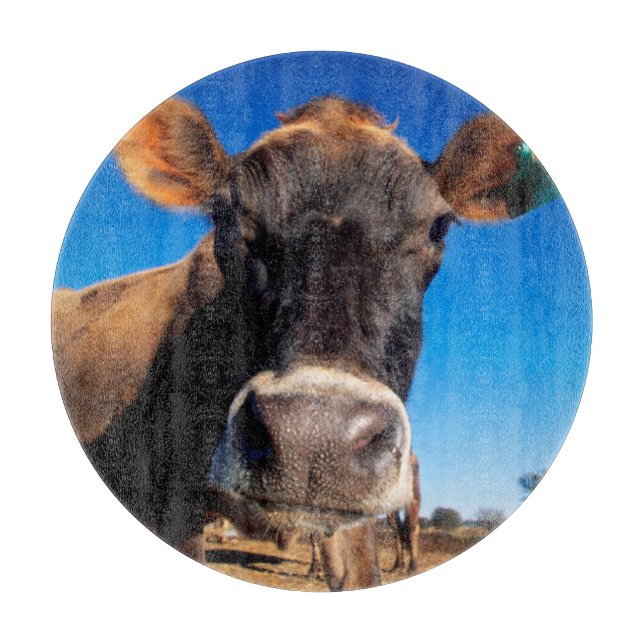 Tabla De Cortar Una vaca Jersey siendo curiosa (Anverso)