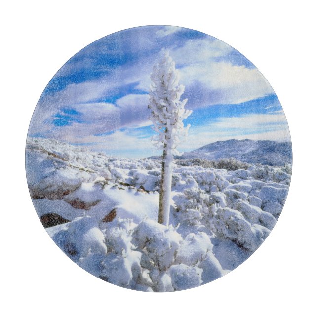 Tabla De Cortar Una yuca cubierta de nieve (Anverso)