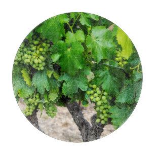Tabla De Cortar Uvas para vino en crecimiento, Francia
