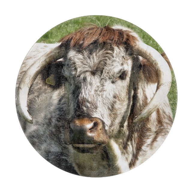 TABLA DE CORTAR VACA (Anverso)