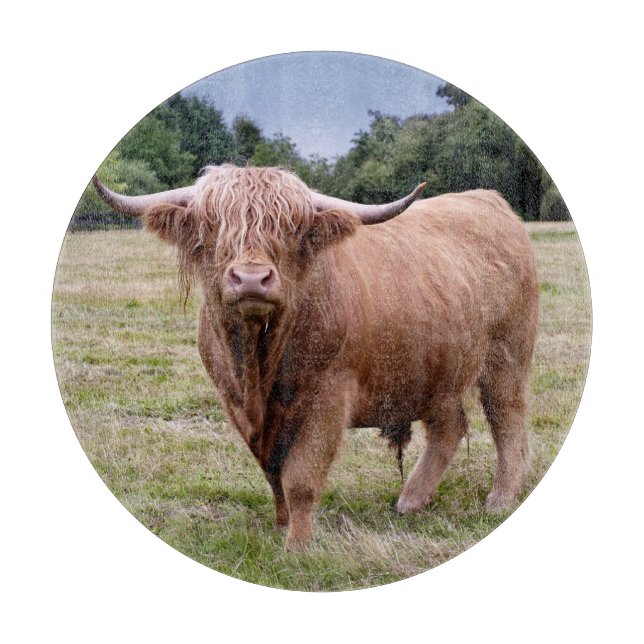Tabla de cortar vaca de las Highlands (Anverso)