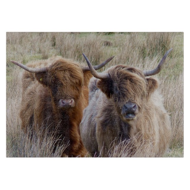 Tabla De Cortar Vacas Highland de Escocia (Anverso)