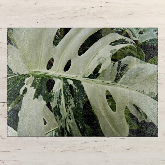 Tabla De Cortar Variación de la planta de Monstera Grande Botánica (In Situ)