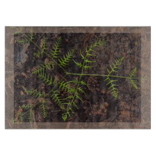 Tabla De Cortar verde primavera
