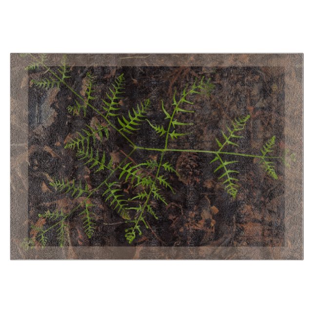 Tabla De Cortar verde primavera (Anverso)