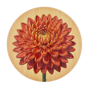 Tabla De Cortar Vibrante Flor de Crisantemo Rojo Naranja Botánica 