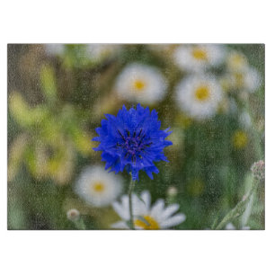 Tabla De Cortar Vidrio de cornisas