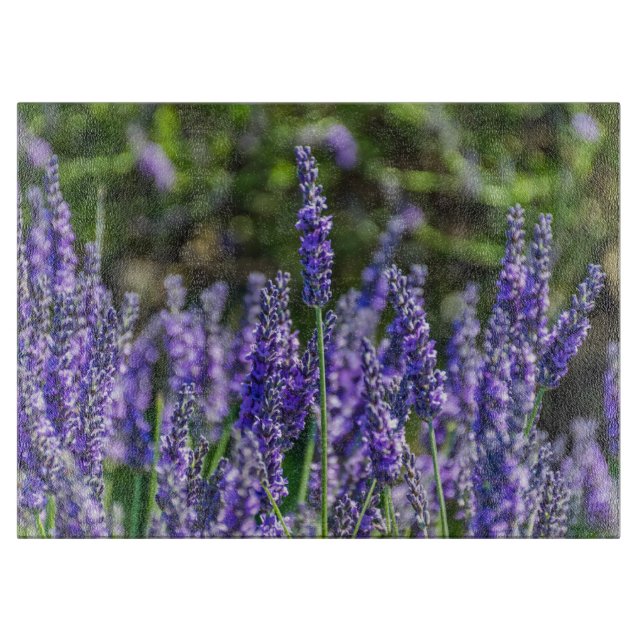 Tabla De Cortar Vidrio de lavanda (Anverso)