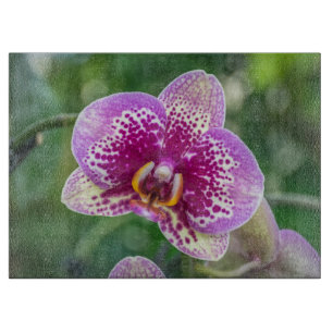 Tabla De Cortar Vidrio de orquídea púrpura