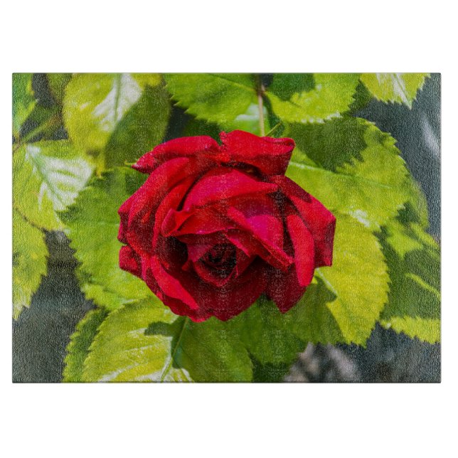 Tabla De Cortar Vidrio rosa rojo (Anverso)