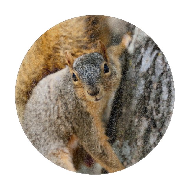 Tabla De Cortar ¿Vienes? (Anverso)