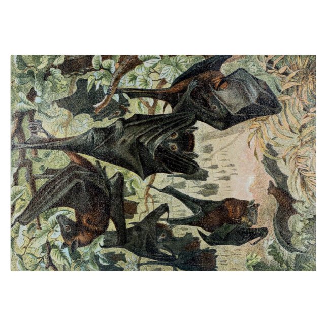 Tabla De Cortar Vintage flying fox bat acadamia illustration 