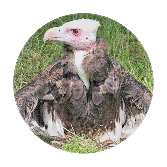 TABLA DE CORTAR VULTURA (Anverso)