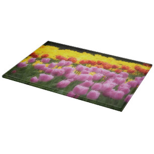 Tabla De Cortar WA, Valle de Skagit, Jardín de Tulipanes Roozengaa