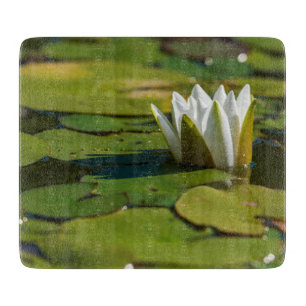 Tabla De Cortar Water Lily Blossom