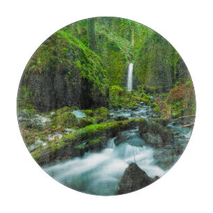 Tabla De Cortar Waterfalls Grotto Falls, Oregon