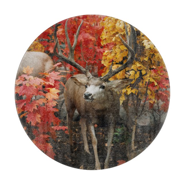 Tabla De Cortar Whitetail En Otoño (Anverso)