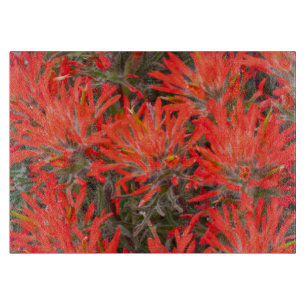 Tabla De Cortar Wyoming, condado de Lincoln, Desert Paintbrush