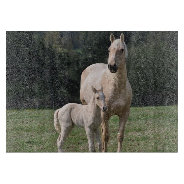 Tabla De Cortar Yegua hembra con sus potros caballos (Anverso)