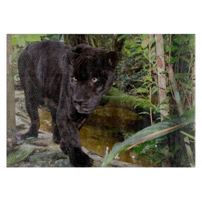 Tabla De Cortar Zoológico de la ciudad de Belice. Pantera negra (Anverso)