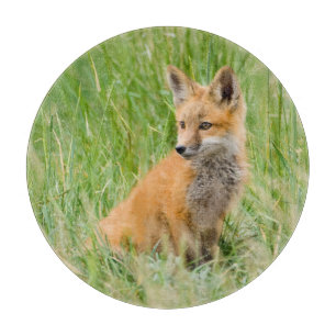 Tabla De Cortar Zorrito Rojo cerca de la madriguera en hierba