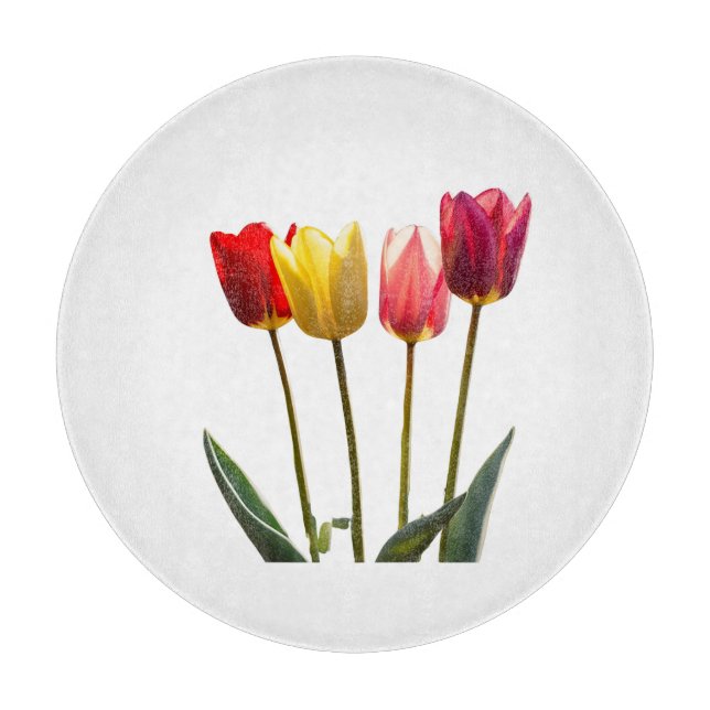 TABLA DE CORTE DE TULIP (Anverso)