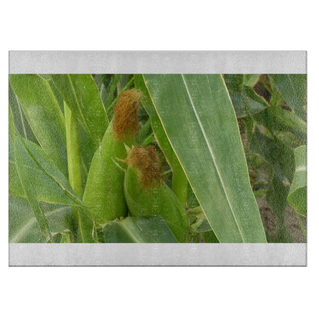 Tabla de corte de vidrio Country 109 (Anverso)