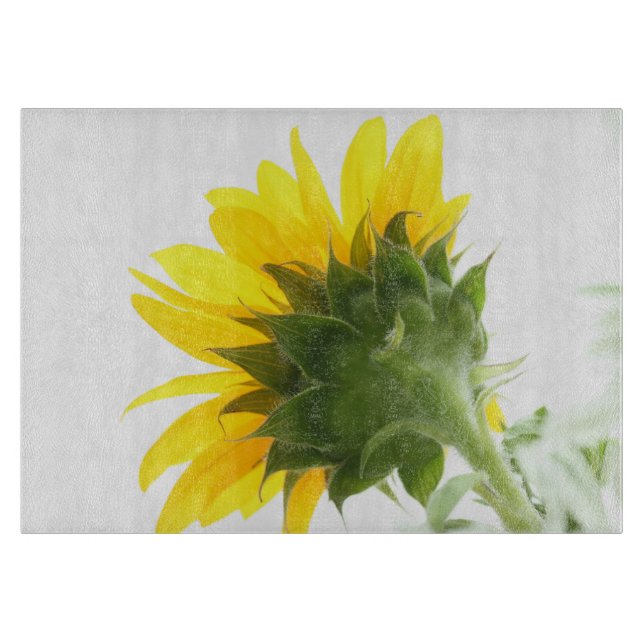 Tabla de corte de vidrio de fuzz de girasol (Anverso)