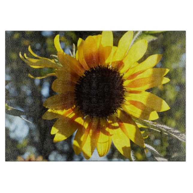 Tabla de corte de vidrio de girasol sunita (Anverso)