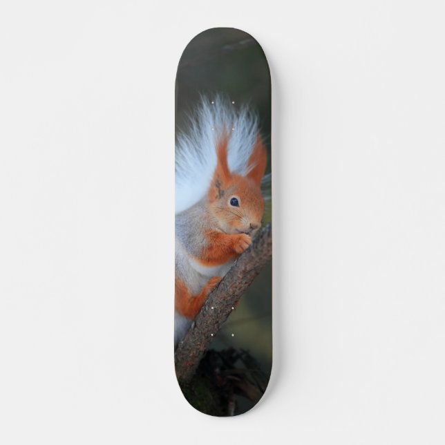 Tabla de Skate Ardilla en un Árbol (Anverso )