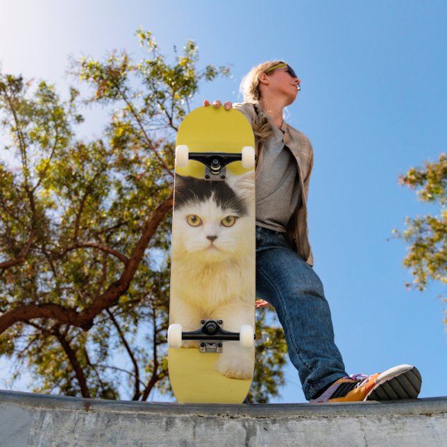 Tabla de skate Cachorro Gato Persa (Exterior 1)