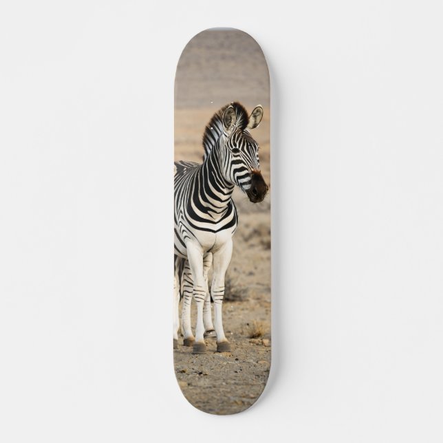 Tabla de Skate Cebra Animal Salvaje (Anverso )