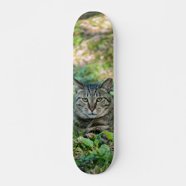 Tabla de Skate Gato Gris Atigrado en un Prado (Anverso )