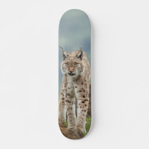 Tabla de Skate Gato Montés Silvestre
