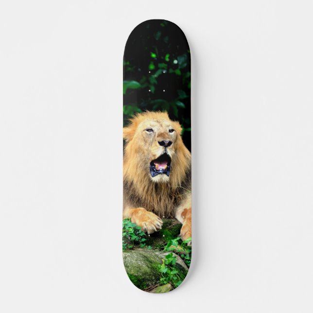 Tabla de Skate León Salvaje Bostezando (Anverso )