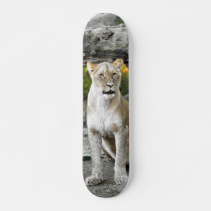 Tabla de Skate Leona Salvaje Sentada