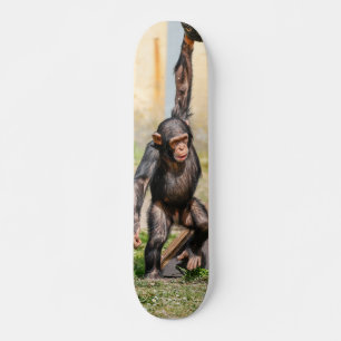 Tabla de Skate Mono Chimpancé Guindado