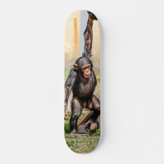 Tabla de Skate Mono Chimpancé Guindado (Anverso )
