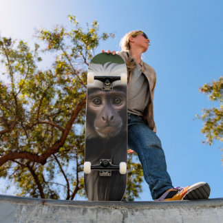 Tabla de Skate Mono Macaco Observando