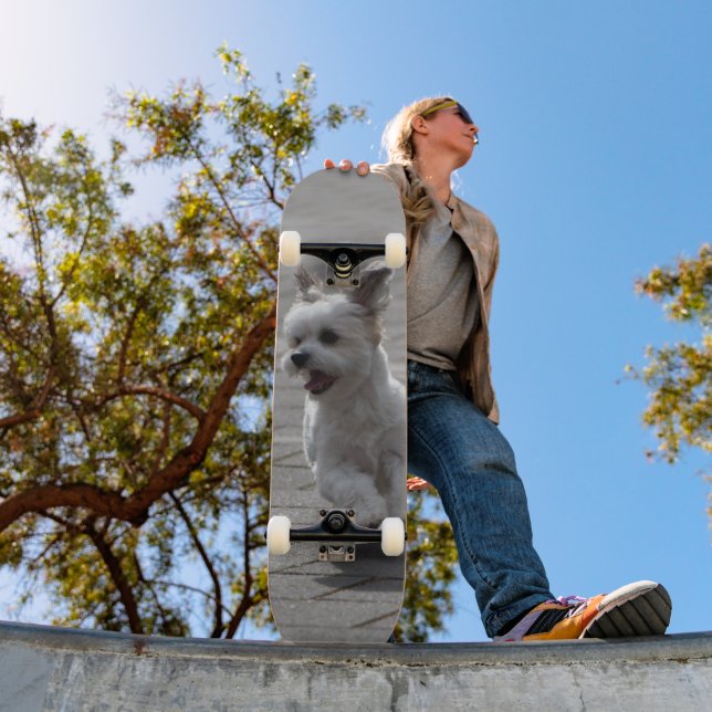 Tabla de Skate Perrito Peludo Blanco Corriendo (Exterior 1)
