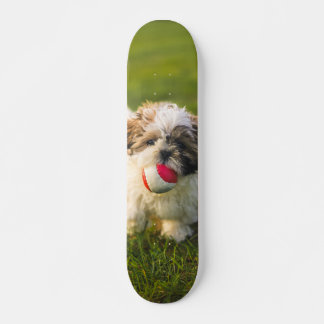 Tabla de Skate Perrito Peludo con su pelota