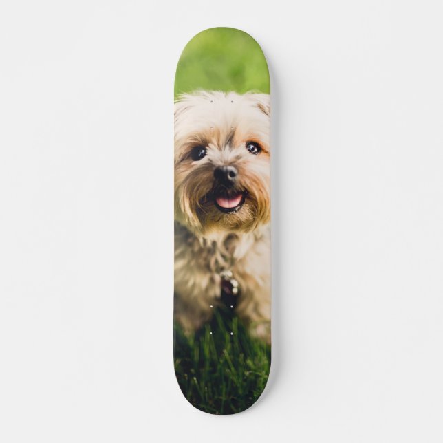 Tabla de Skate Perrito Terrier Adorable (Anverso )
