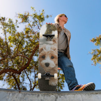 Tabla de Skate Perro Peludo Colores Crema y Blanco