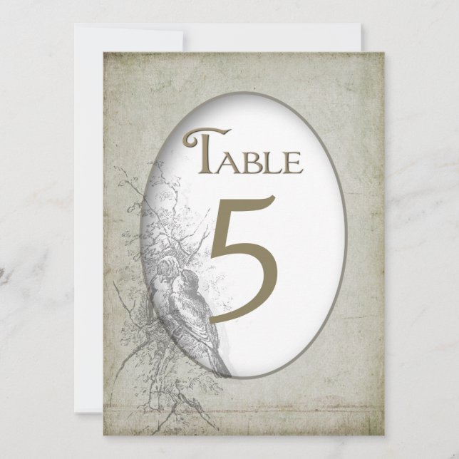 TABLA # TARJETAS 5.5 X 7.5 - RECOPILACIÓN DE AVES  (Anverso)