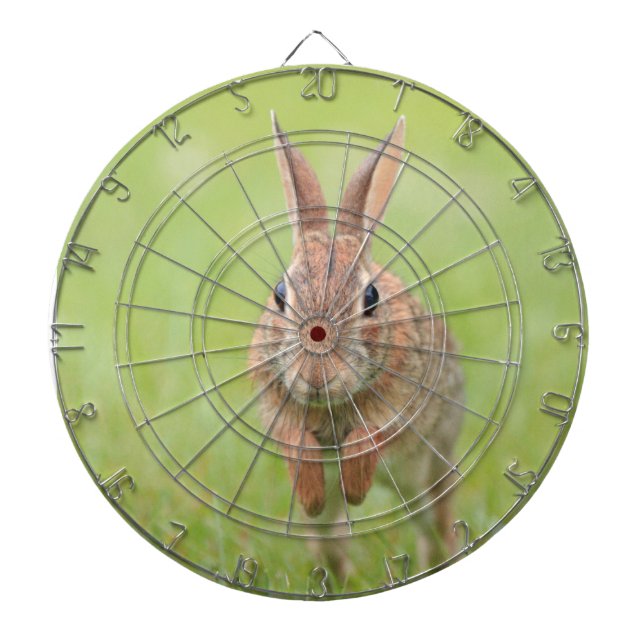 Tablero con foto de conejo de salto (Frente)