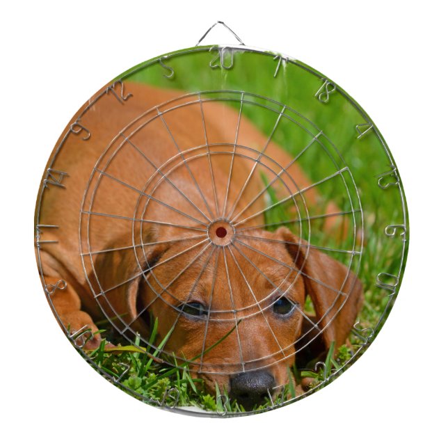 Tablero de dardo - modificado para requisitos (Frente)