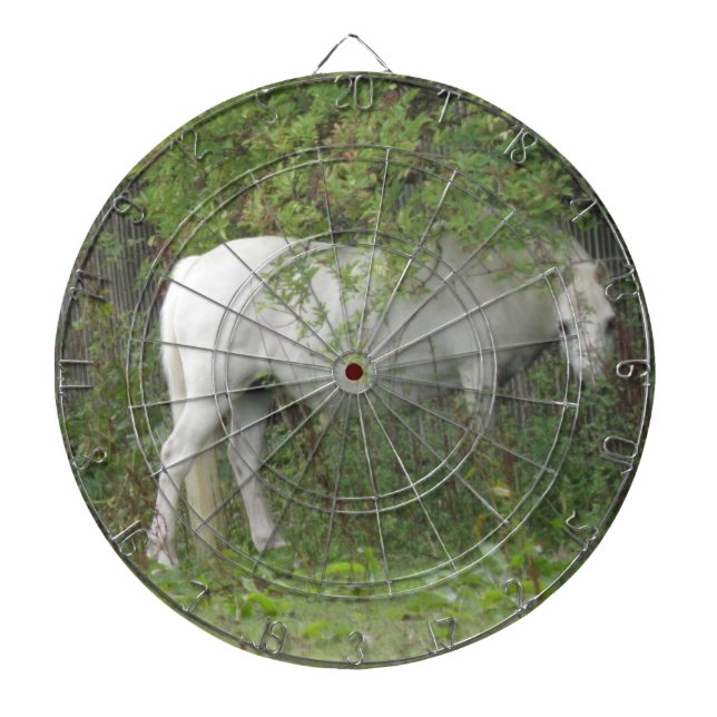 Tablero de dardo tímido del caballo blanco (Frente)