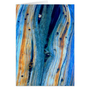 tablero de granero azul templado