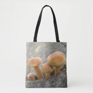Taburetes en la bolsa de la maleta del tronco del 